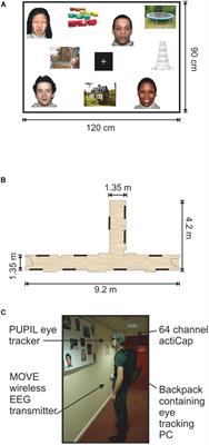 Brain Responses to Emotional Faces in Natural Settings: A Wireless Mobile EEG Recording Study